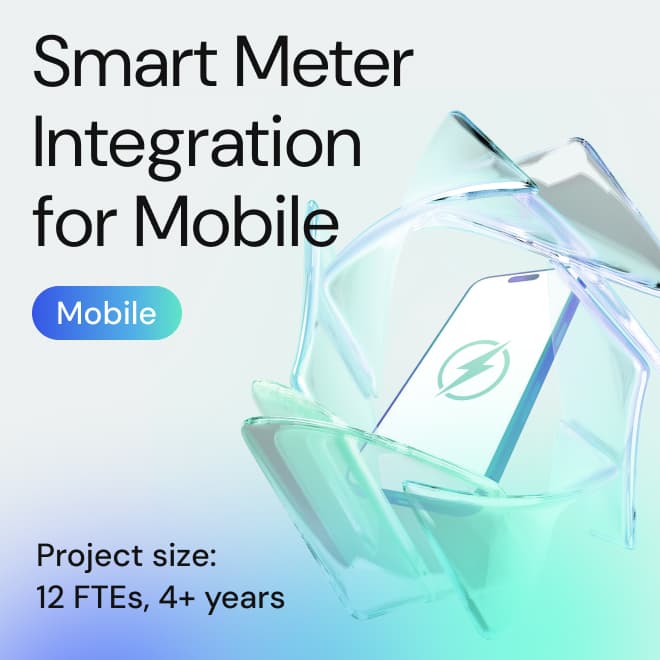 Managing budget and electricity & gas consumption from mobile device