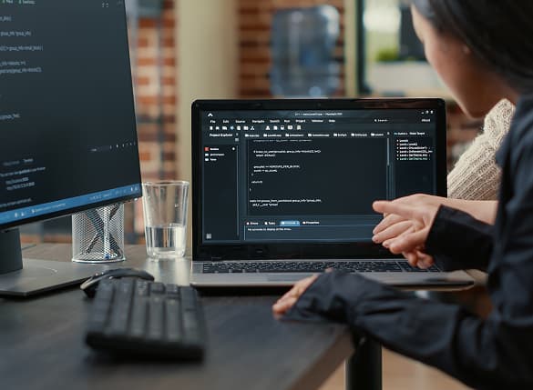 SAP modules customization and support